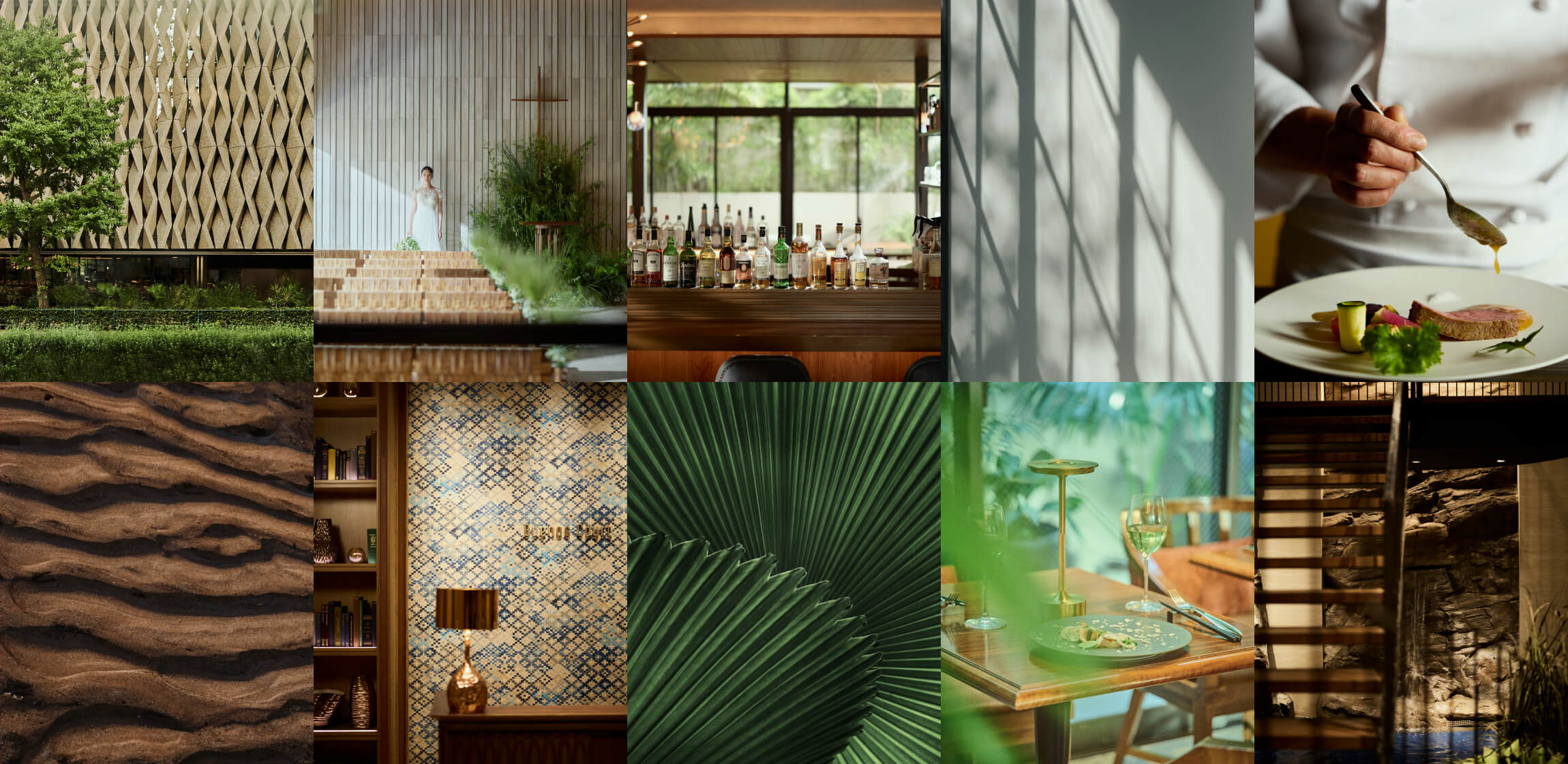 ザ テンダーハウス 10th Anniversary